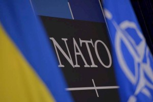 
                    Парламентская ассамблея НАТО признала преступления России против Украины геноцидом
                
