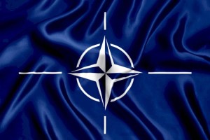 
                    В США предложили пригласить в НАТО еще три страны
                