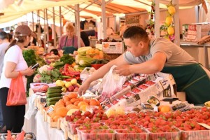 В Казахстане усиливают контроль за незаконным ввозом яиц и транзитом продуктов