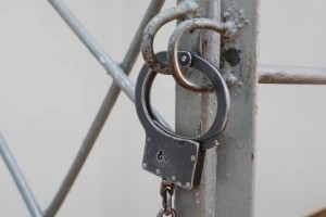 
                    Фальшивые талоны, ремонт и призрачный магазин: полицейские разоблачили столичных аферистов
                