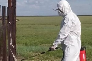 Вспышек инфекционных заболеваний удалось избежать в ЗКО
