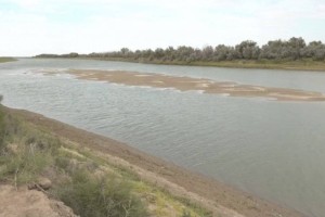 
                    Уровень воды в реке Жайык снизился
                