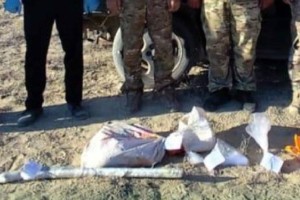В Алматинской области выявлен факт браконьерства