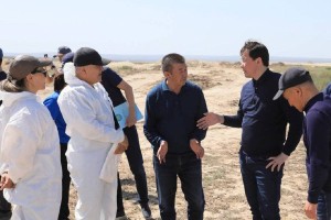 Актюбинцам начали выплачивать компенсацию за павший во время паводка скот