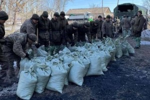 Минобороны направит дополнительные силы для борьбы с паводками