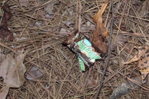 Банду серийных домушников поймали благодаря конфетным оберткам