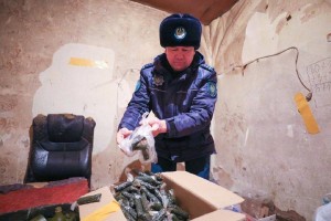 
                    Подпольный цех по производству насвая ликвидировали в Астане
                