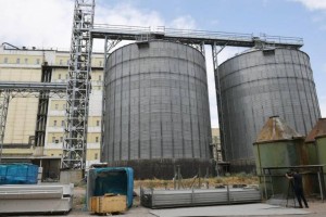 
                    Агропромышленный кластер на 15 млрд тенге строят в Алматинской области
                