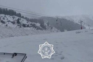 Сошла снежная лавина в горах Алматы