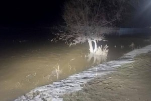 Талая вода скопилась в области Абай