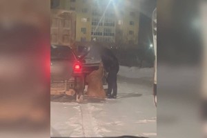 
                    Жену выкинул из машины пьяный водитель в ночной Астане
                