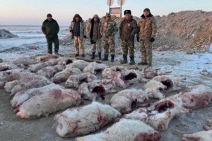 Браконьеров задержали в Кызылординской области