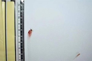 
                    Мертвый комар помог полицейским изобличить преступника
                