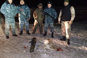Застрелили краснокнижных джейранов: браконьеров задержали в Жамбылской области