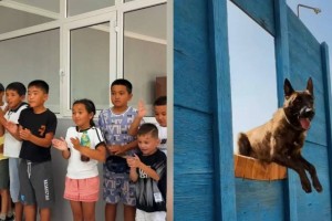 
                    Экскурсию в кинологическую службу провели для детей в Шымкенте
                