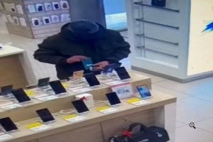 Любители легкой наживы орудовали в торговых домах Алматы