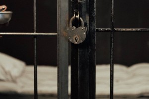 Приговор суда: семь лет получила бухгалтер больницы за кражу 90 млн тенге