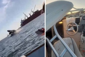 Видео нападения кита на лодку с туристами шокировало зрителей