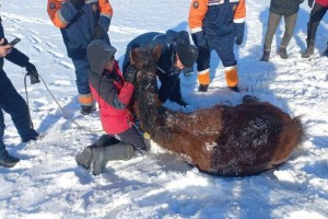 За прошедшие сутки в области Абай проведены две аварийно-спасательные работы