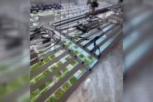 
                    Сразу три подпольные нарколаборатории ликвидировали в Алматинской области
                