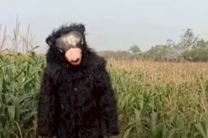 
                    Пугало ходячее: довольно необычную работу нашел для себя мужчина – видео
                