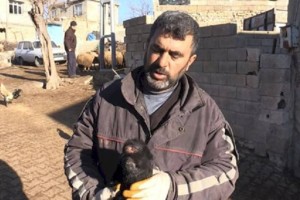 Забрать себе жуткого козленка-мутанта просит представителей власти фермер