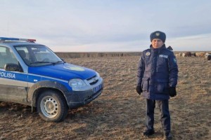
                    800 пропавших овец на 35 млн тенге нашли костанайские полицейские
                