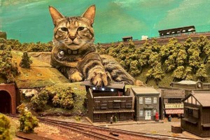 Бездомные кошки прославились в соцсетях и спасли от разорения ресторан