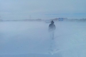 
                    Нашелся пропавший в степи 16-летний сын пастуха в Кызылординской области
                