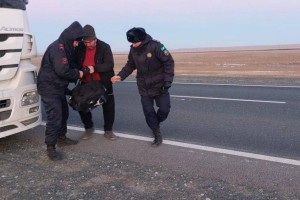 
                    Застрявшим в дороге путникам помогли актюбинские спасатели
                