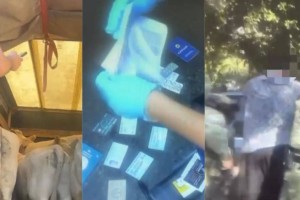 
                    Кража скота в области Жетысу: подозреваемые арестованы, возбуждено дело
                