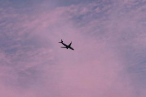 
                    Под Астаной разбился легкомоторный самолет: погибли два человека
                