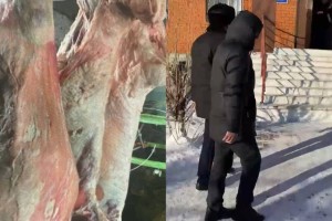 
                    Хотел заработать на свадьбу: скотокрадов задержали акмолинские полицейские
                