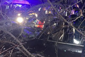 
                    Лошадь на дороге спровоцировала смертельное ДТП в Жетісу
                
