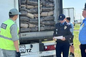 
                    30 тонн яиц пытались незаконно ввезти в Казахстан из Самары
                