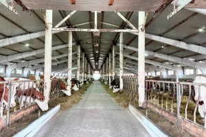 Льготное кредитование для аграриев запустят в Казахстане