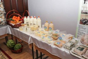 Казахстан и Катар нацелены на новые направления экономического партнерства