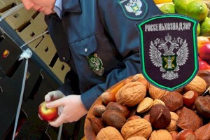 
                    Россельхознадзор заявил о нарушениях при ввозе сельхозпродукции из Казахстана
                