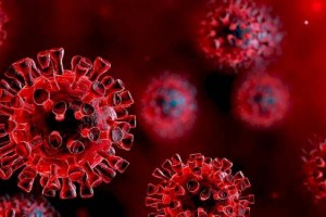
                    ВОЗ сообщила о росте смертности от КВИ в мире на 10% за прошлую неделю
                