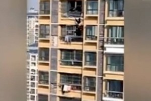 
                    Чудесное спасение пожилой женщины, выпавшей с 19-го этажа, попало на видео
                