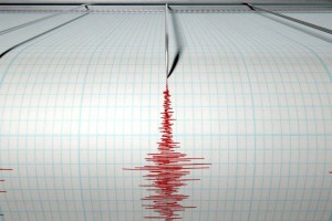 
                    Землетрясение магнитудой 4,9 зафиксировали алматинские сейсмологи
                
