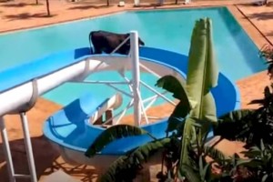 
                    Бык, пробравшийся в аквапарк, стал звездой соцсетей и избежал смерти
                