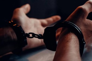 Полицейские изъяли более 920 кустов конопли у жителя Акмолинской области