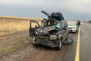
                    Лошадь стала причиной смертельного ДТП в Жетысуской области
                