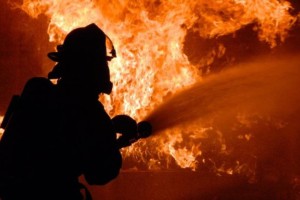 
                    Женщину с двумя детьми убили и сожгли в Алматинской области
                