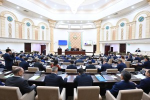 Депутаты рассмотрели законопроекты о республиканском бюджете и гарантированном трансферте из Нацфонда
