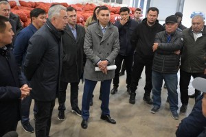 Три миллиона тонн зерна отправит Казахстан в Китай – Серик Жумангарин