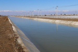 ТОП-5: регионы Казахстана, получившие наибольшее количество поливной воды