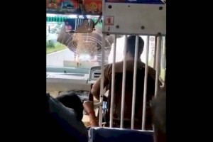 
                    Дикий слон напал на пассажирский автобус в Индии – видео
                