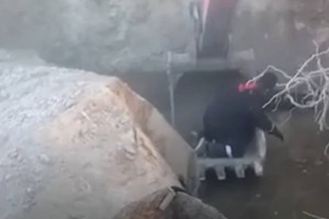 
                    Спасли собаку с помощью экскаватора случайно ехавшие мимо рабочие
                